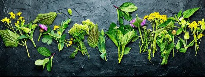 whatsapp image 2025 11 04 at 7.10.16 pm