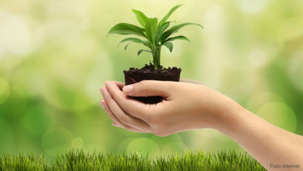 whatsapp image 2025 11 05 at 12.44.53 am